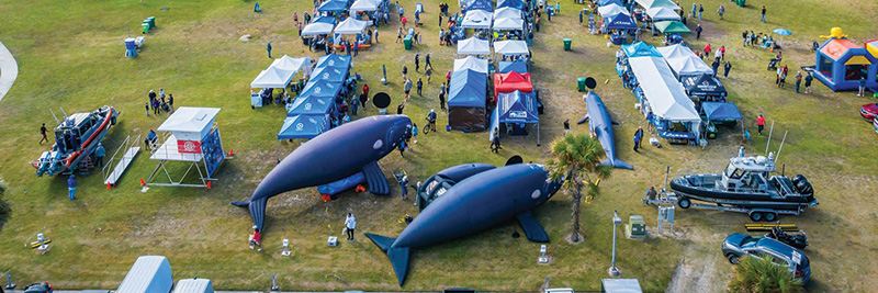 2023 Amelia - Right Whale Festival 072A - Deremer Studios LLC-large.jpg