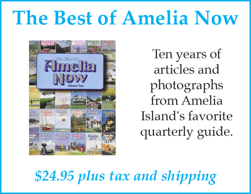 The Best of Amelia Now