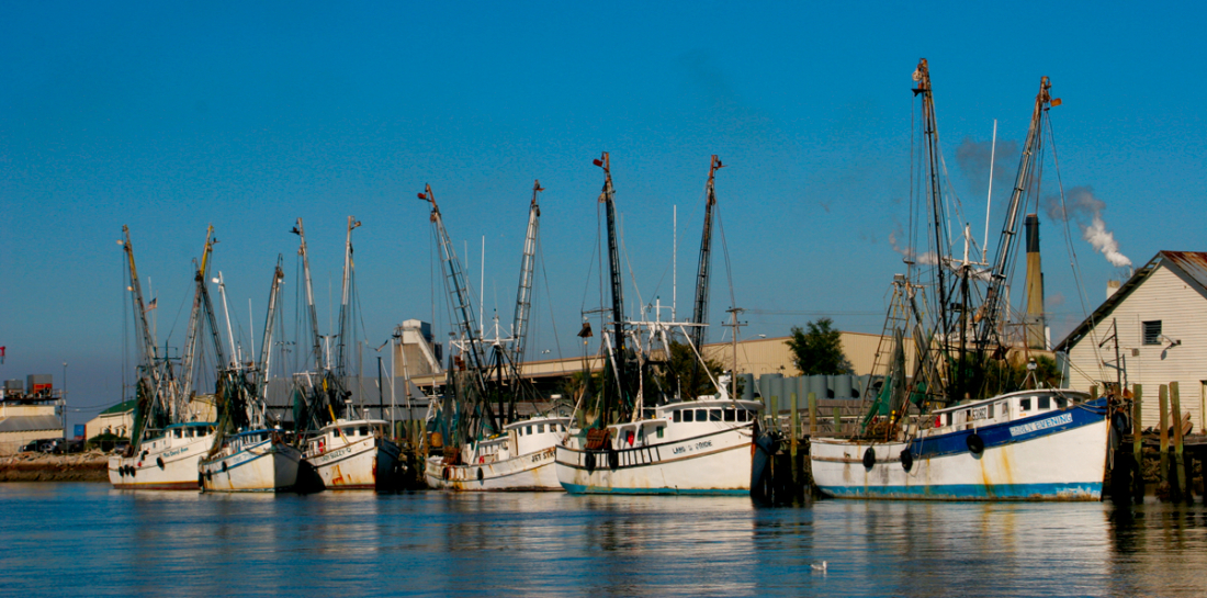 Shrimpboats horizontal.jpg