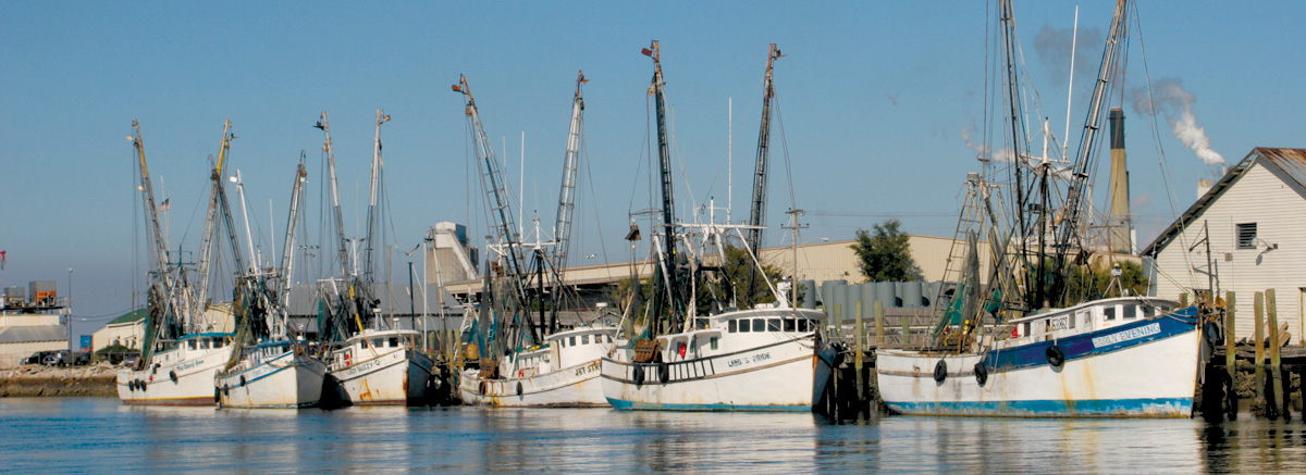 Shrimpboats.jpg